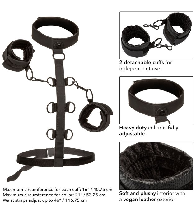 Attaches Sm Collar Body Restraint Boundless