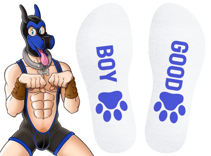 Chaussettes Good Boy Blanc-Bleu