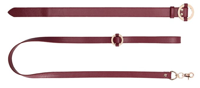 Collier-Laisse Halo Col Rouge