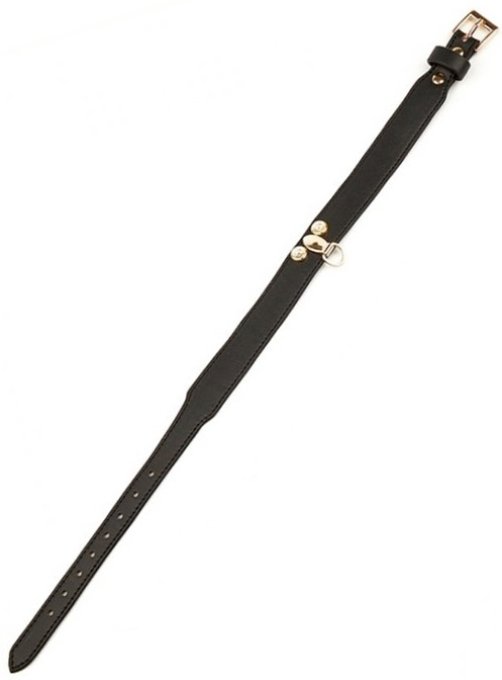 Collier-Laisse Master Me Noir