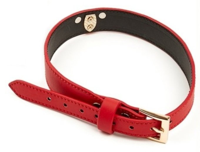 Collier-Laisse Master Me Rouge