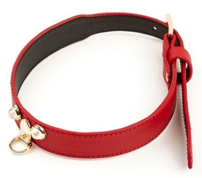 Collier-Laisse Master Me Rouge