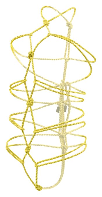 Corde de bondage Boundless 10m Jaune