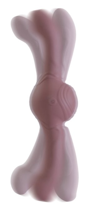 Double Gode vibrant Strong Shaking 12 x 4cm