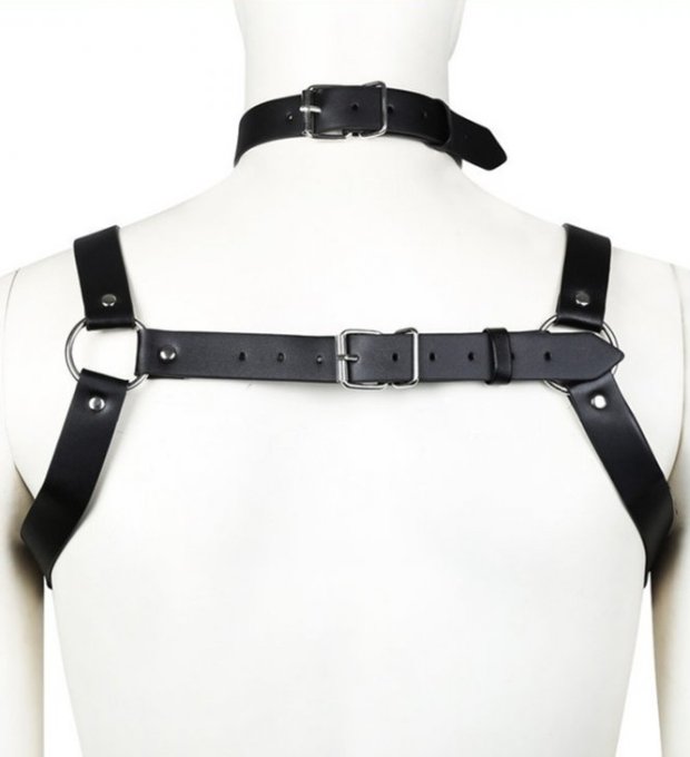 Harnais CHEST BELT Noir