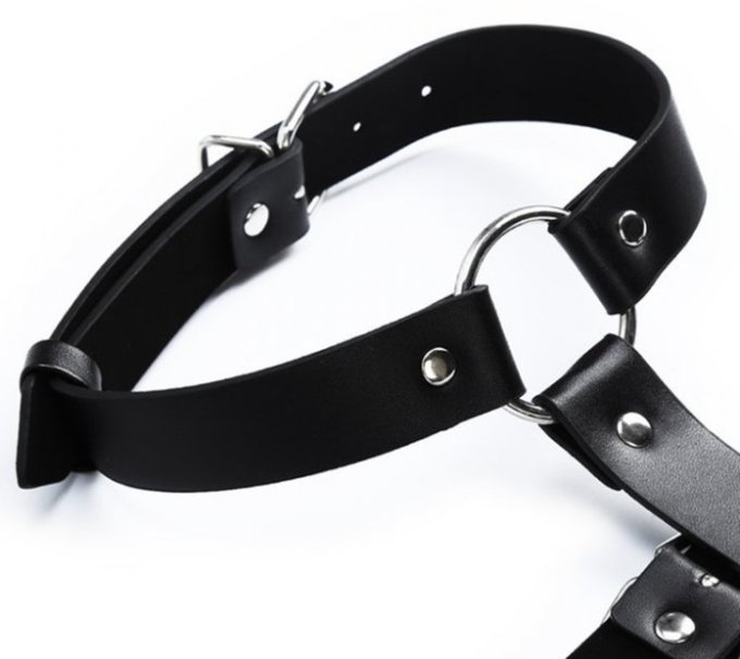 Harnais CHEST BELT Noir