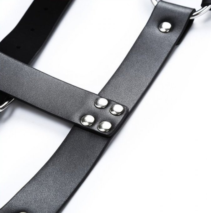 Harnais CHEST BELT Noir