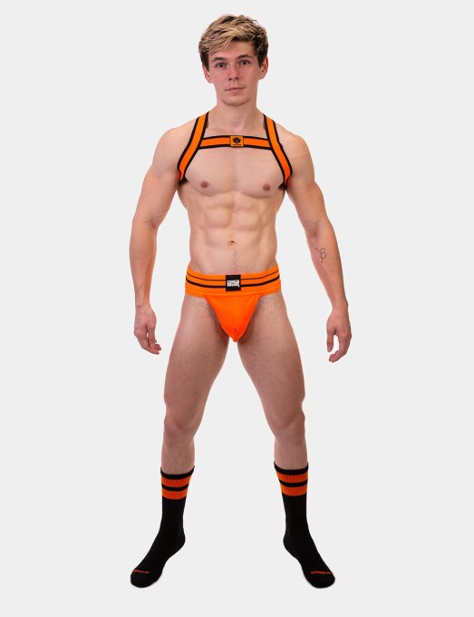 Harnais élastique Colin Orange