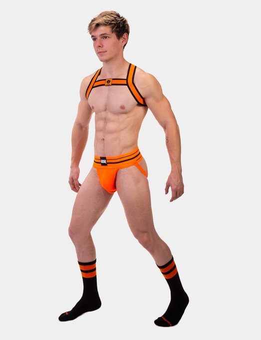 Harnais élastique Colin Orange