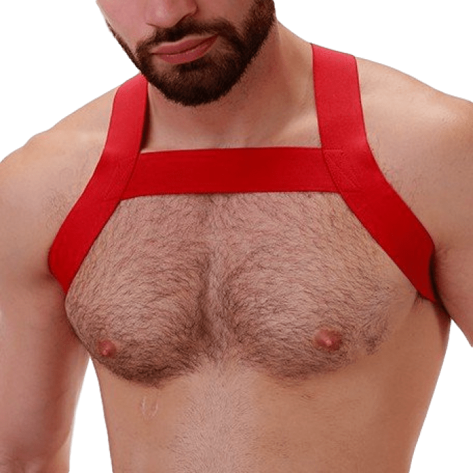 Harnais Élastique MATT Rouge