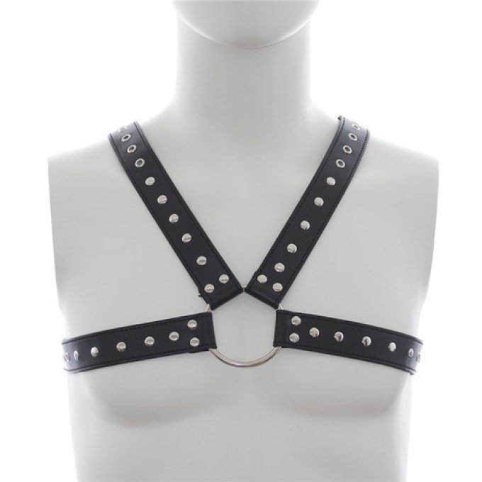 Harnais SM Stud Chest