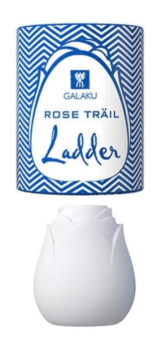 Masturbateur Oeuf Rose Trail Ladder Bleu