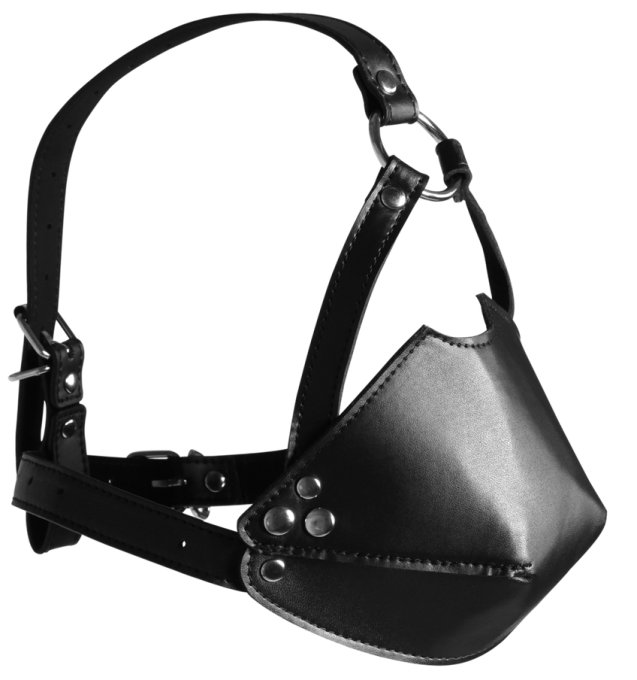 Muselière avec Bâillon Head Harness Noire