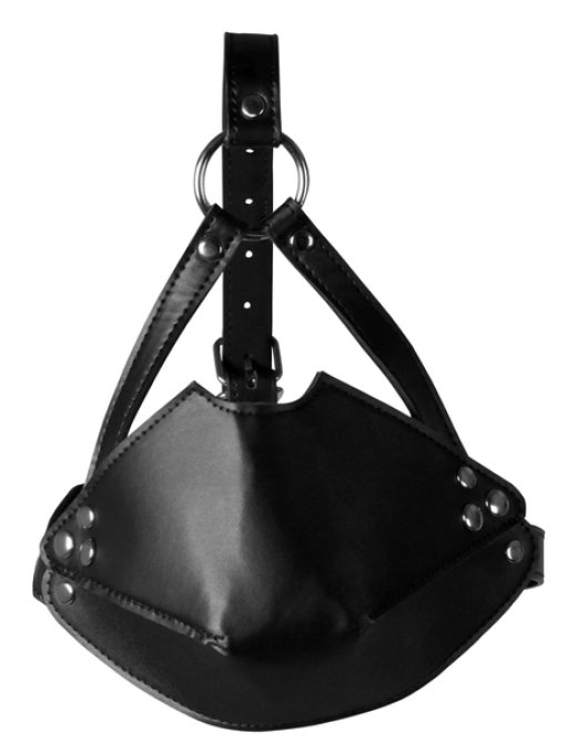 Muselière avec Bâillon Head Harness Noire