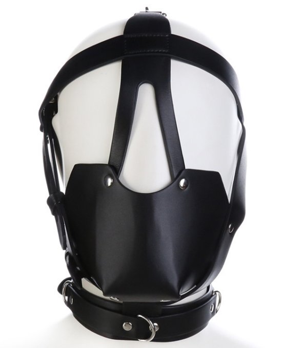 Muselière Sm Harness Head Noire