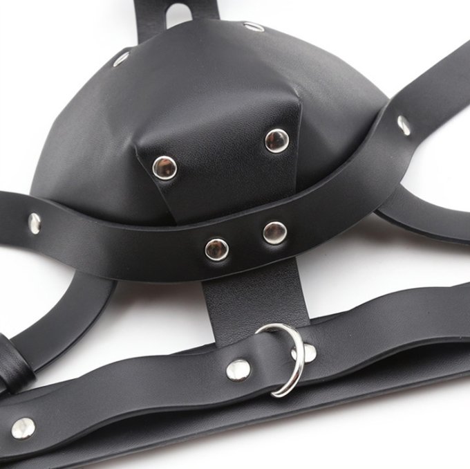 Muselière Sm Harness Head Noire