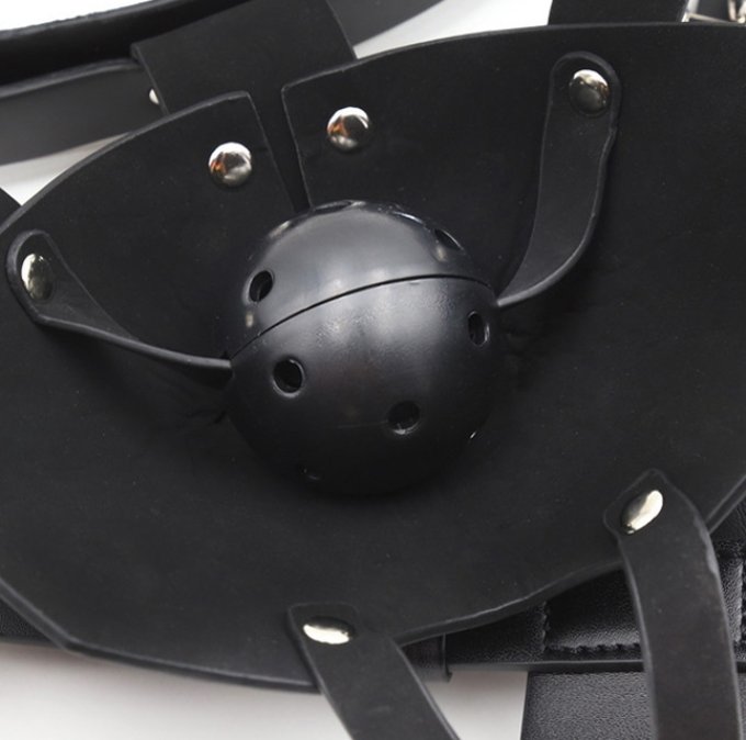 Muselière Sm Harness Head Noire