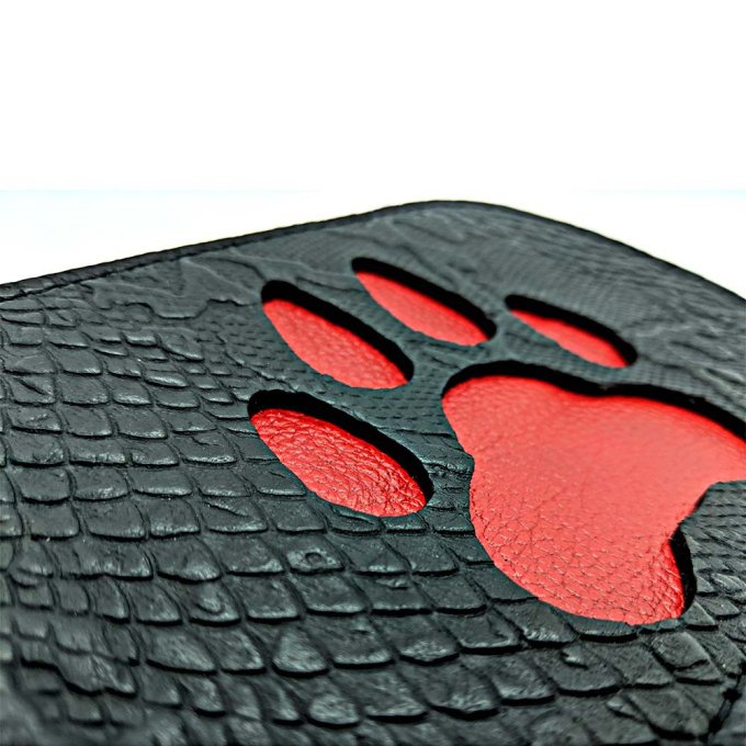 Paddle Puppy Paw