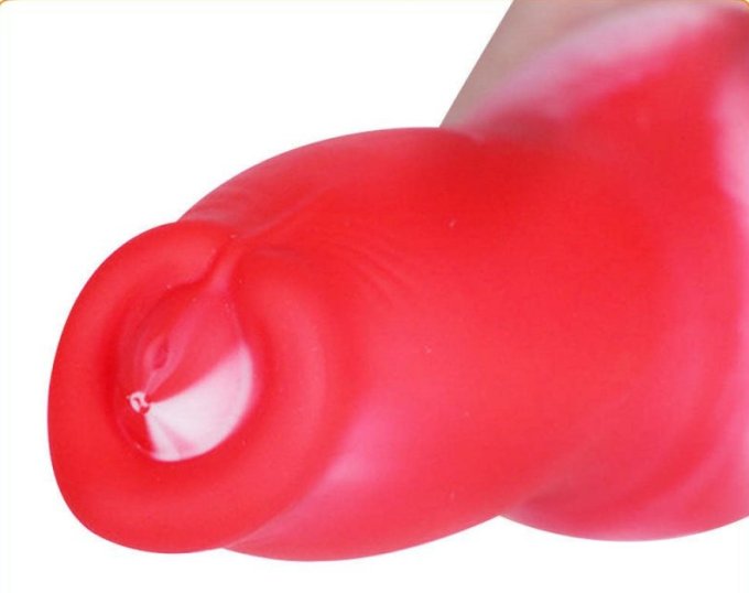 Plug Queue Dog Dick L 19 x 6.3cm