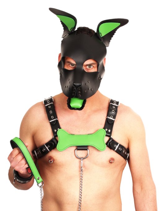 PUPPY SET OREILLES ET LANGUE EN CUIR VERT