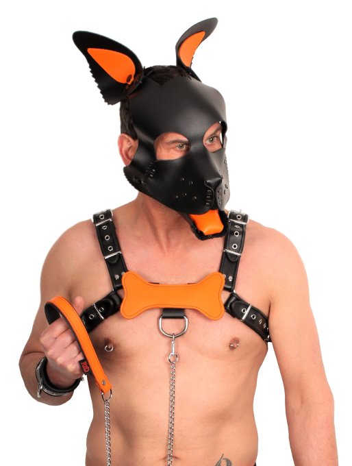 PUPPY SET OREILLES ET LANGUE EN CUIR ORANGE