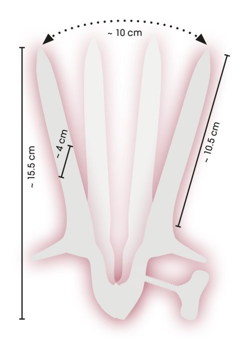 Spéculum Ass View 10.5 cm - Ouverture maximale 10cm