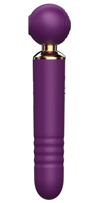 Stimulateur de clitoris et point G Budding Violet