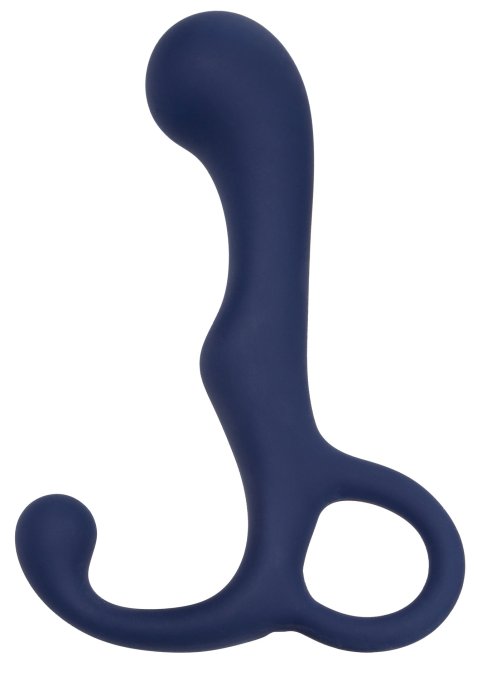 Stimulateur de prostate Agility Probe Viceroy 9 x 3cm