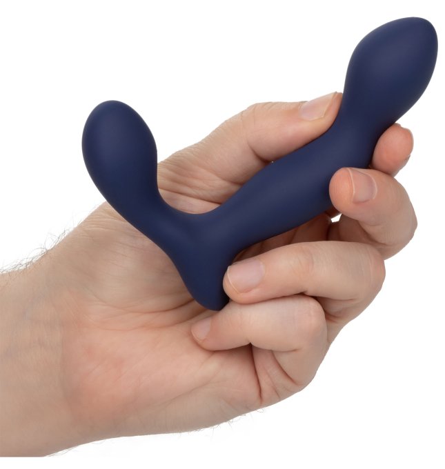 Stimulateur de prostate Expert Probe Viceroy 10 x 2.5cm