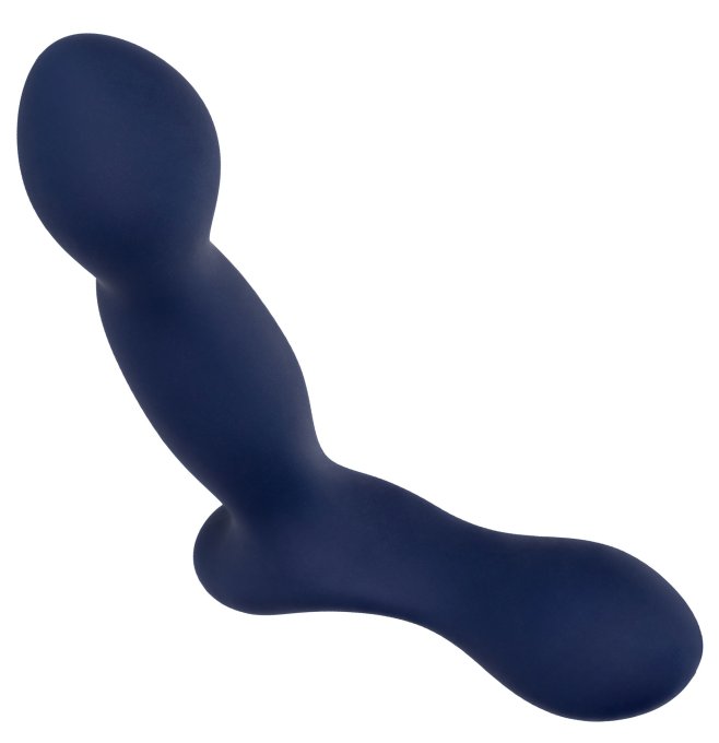 Stimulateur de prostate Expert Probe Viceroy 10 x 2.5cm