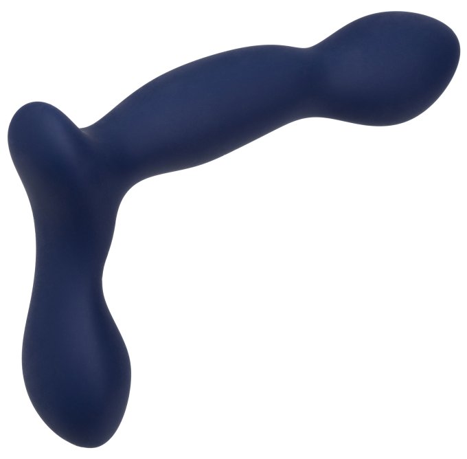 Stimulateur de prostate Expert Probe Viceroy 10 x 2.5cm