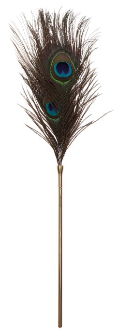 Tickle Peacock Taboom 42cm