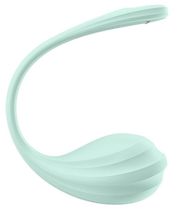 Vibromasseur Connecté Point G Smooth Petal 8.5 x 3.8cm Vert Menthe